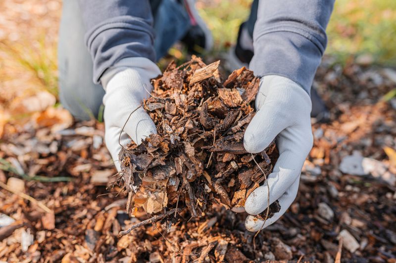 Cost of Mulch Installation